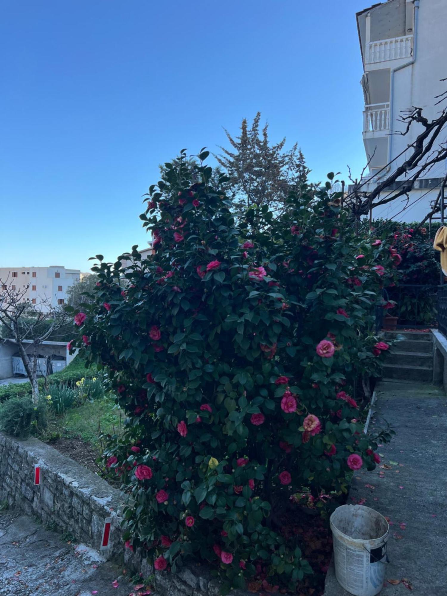 Guest House Plima 2 Budva Exterior photo